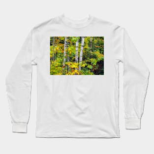 First Signs of Fall Long Sleeve T-Shirt